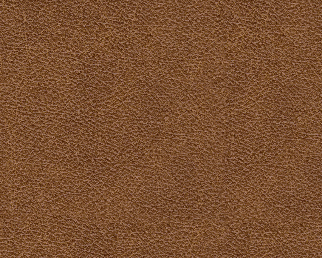 AS57604 Carianna Sofa Sleeper