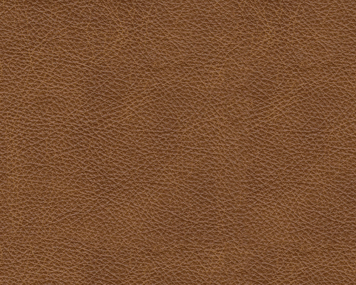 AS57604 Carianna Sofa Sleeper